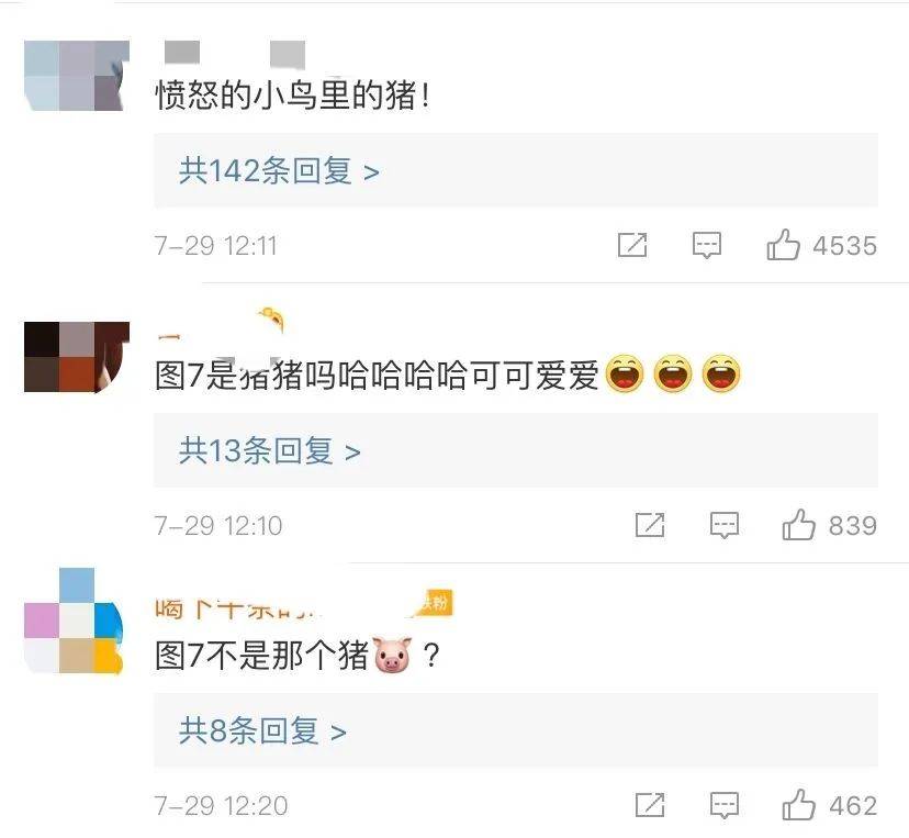 遗址|愤怒的小鸟猪,别装了!这只3200年前的猪一出土就冲上热搜