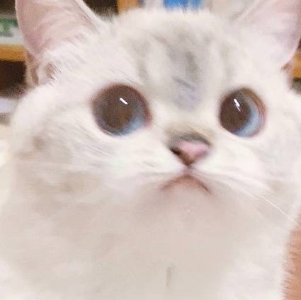 4e21e74ebc3d410e997cc8f5f78f8500.jpeg