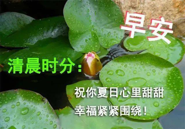 微信朋友圈特漂亮的早上好图片 早上好问候句子