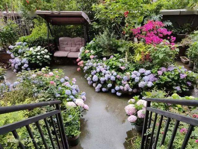 50后老奶奶花2年造了个70平米露台花园,她说有梦想要趁早规划,别等老