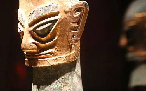 遗址|愤怒的小鸟猪,别装了!这只3200年前的猪一出土就冲上热搜