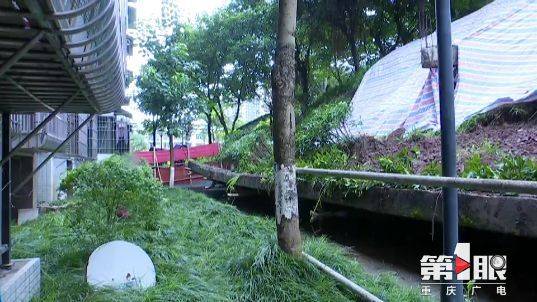 神反应!堡坎突然垮塌 女子弃车就跑逃过一劫