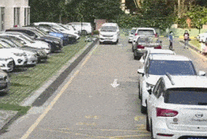 应急|家长学生速看！这节网络公开课，有重要安全提醒