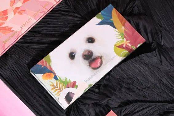 日记|完美日记系列眼影评测 | 真的不知道为啥锦鲤盘能这么火?