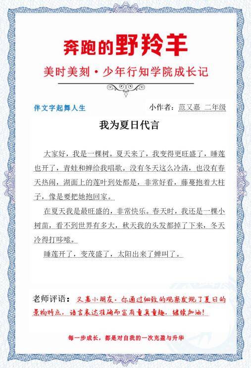 山在|【野羚羊成长记3】穿石坡湖：山在湖心如黛簇，沉醉青山不知归