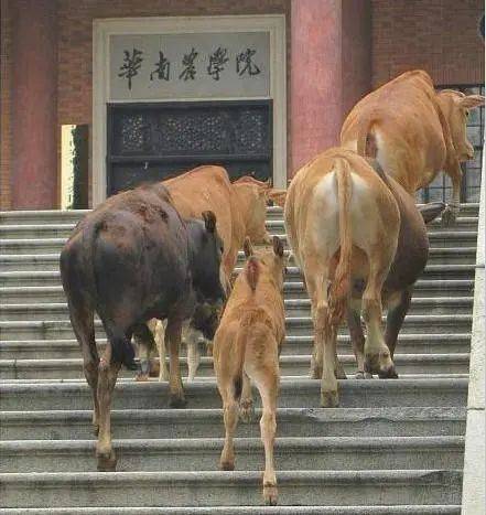 农学|农学，真的是劝退专业吗？