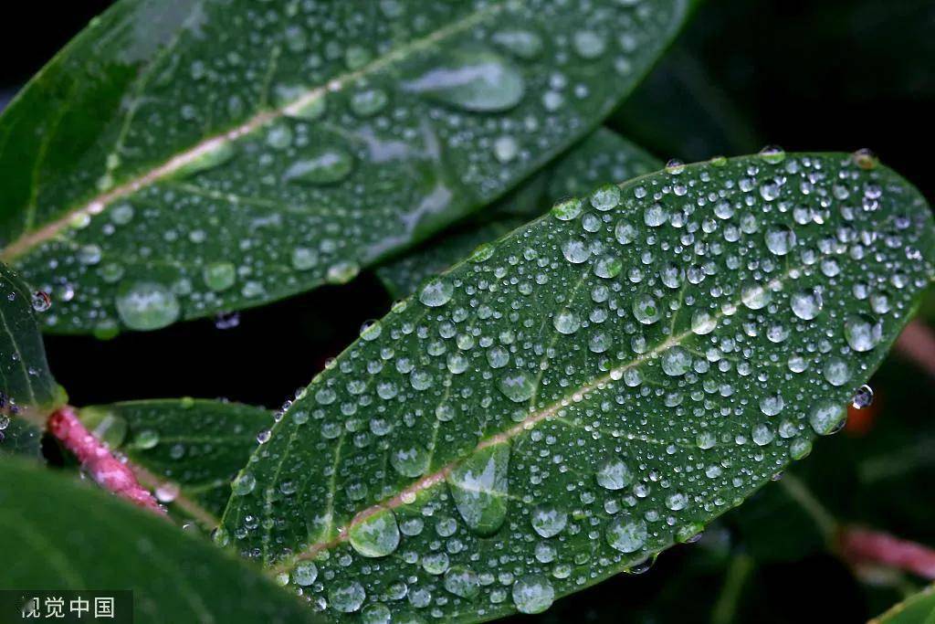 必修课|每个人一生的必修课（值得一读）