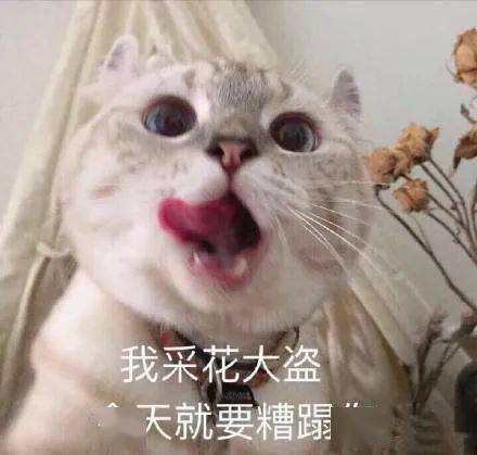 娃哈哈|◇ 娃哈哈开奶茶店、元气森林联名螺蛳粉、喜茶与茶颜悦色合体，这些品牌也太会玩了吧！