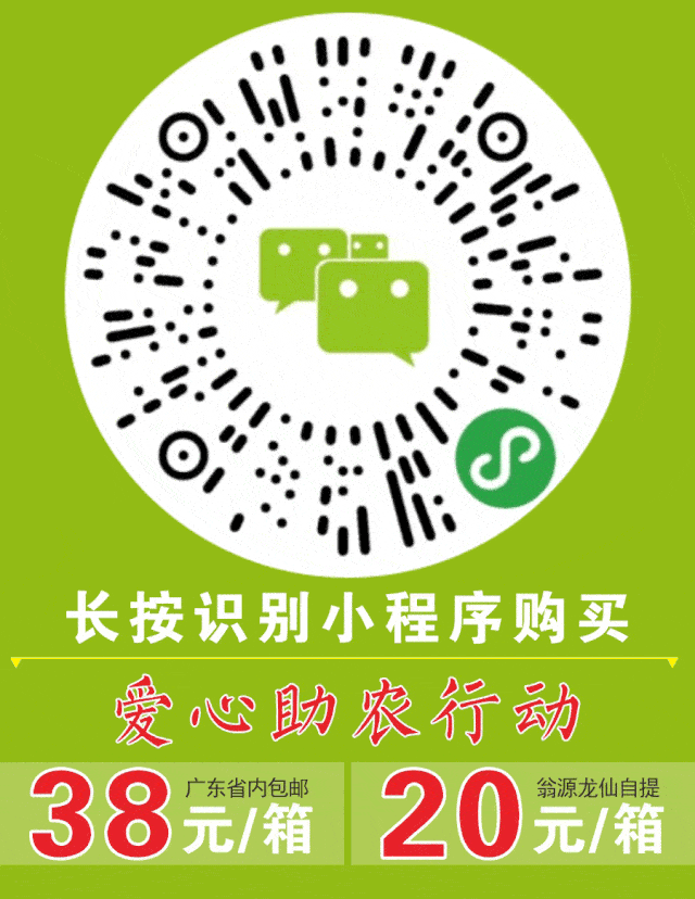 640_828 竖版 竖屏