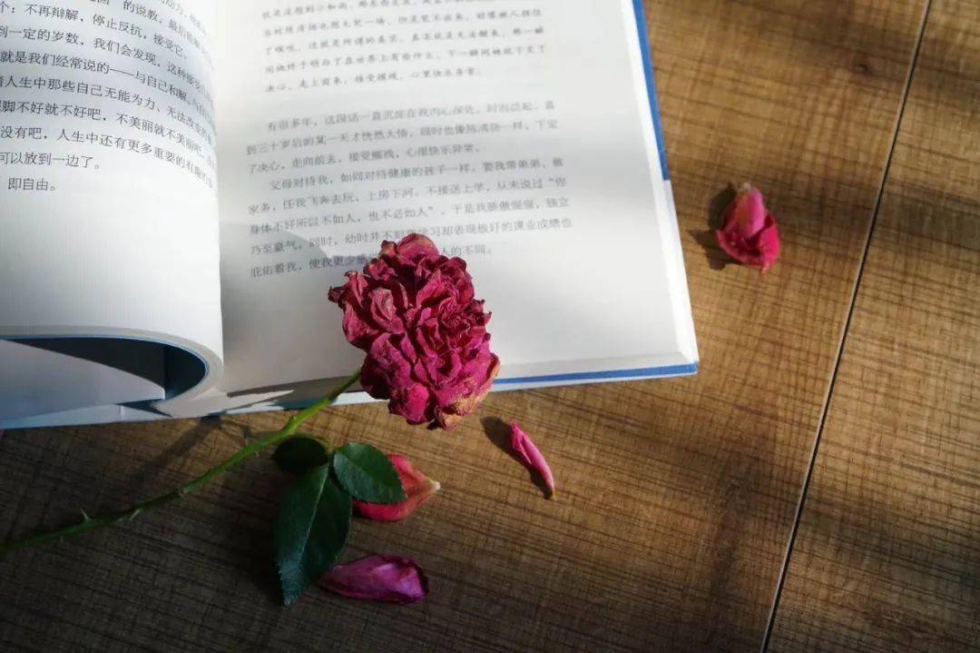 品味书香的一段话 d91c78e955324af5bc3d668dde0b5479.jpeg