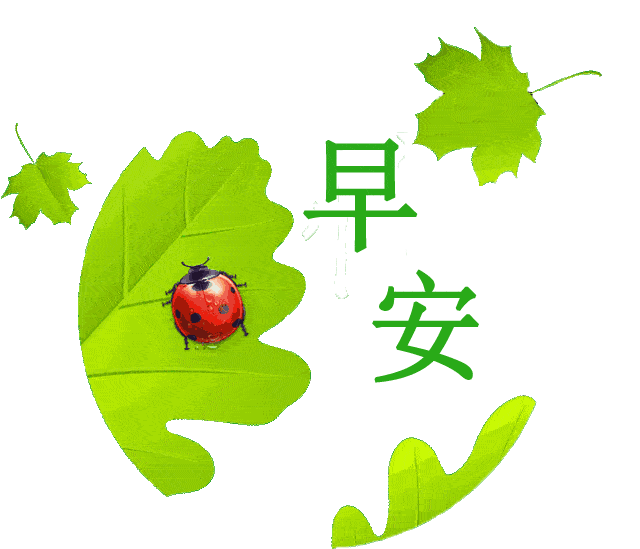 早上好,周日到了,愿你天天神采飞扬,祝您渡过一个愉快