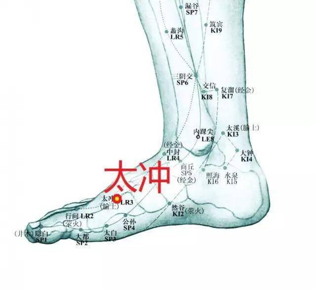 针灸补和泻是什么原理_针灸补泻手法图解