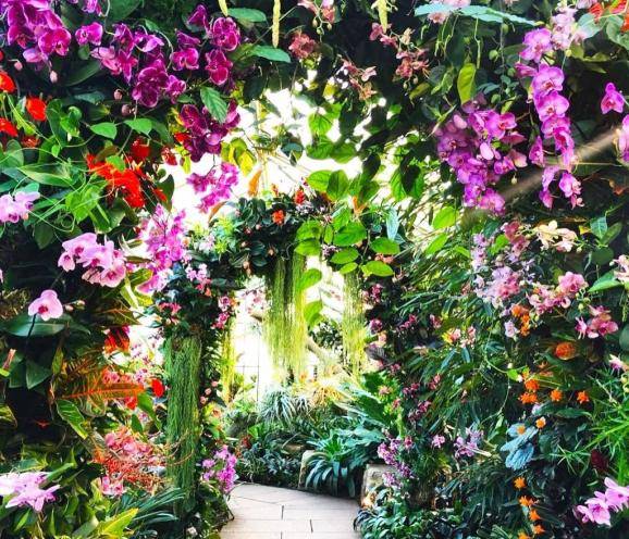 亨利|500年前的英国料理:昔年美食大国,为何沦为黑料理之国?