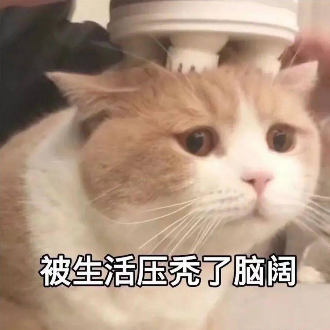 怎么一下子发很多的表情包 befa51a7a6a146b5bceae52d27e3b682.jpeg