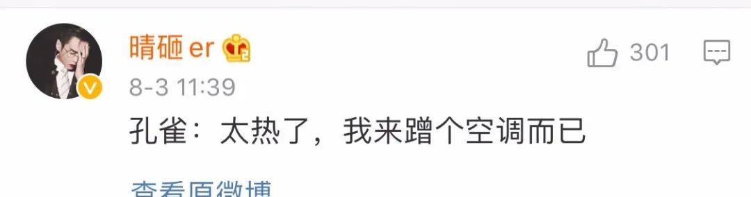 孔雀|长得美还“好学”！孔雀溜进图书馆赶都赶不走，网友：这是要参加明年的高考吗