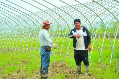 创业|大学生当“新农人” 现代农业显身手