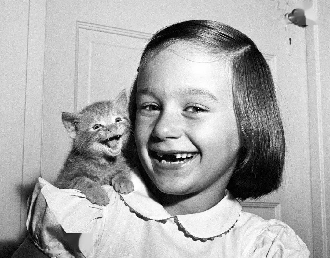 年拍|铲屎官必看!被誉为拍猫教父的他,70年拍猫历史全在这