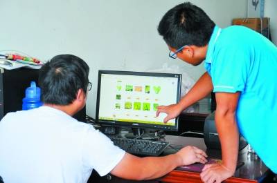 创业|大学生当“新农人” 现代农业显身手