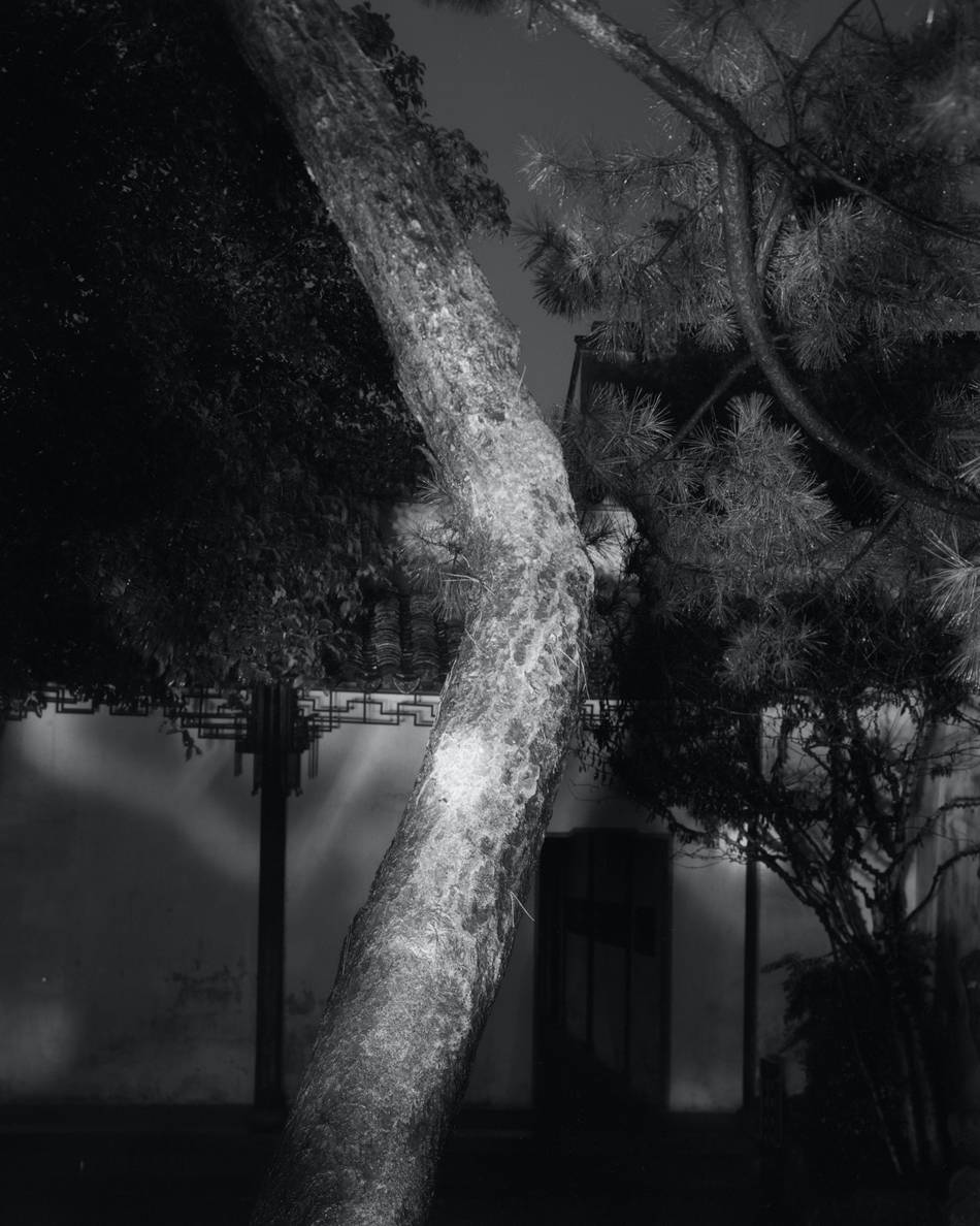 展览|看展览｜“走神”，当代摄影艺术展陈于古老的苏州园林