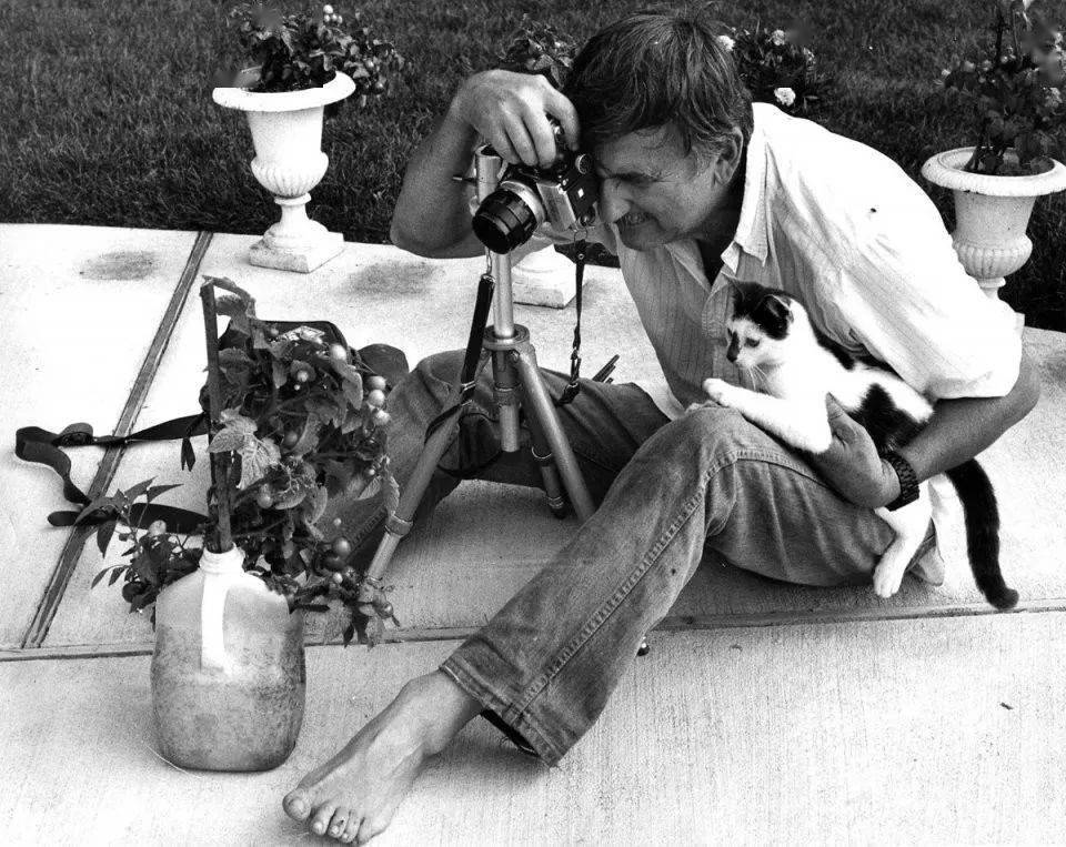 年拍|铲屎官必看!被誉为拍猫教父的他,70年拍猫历史全在这