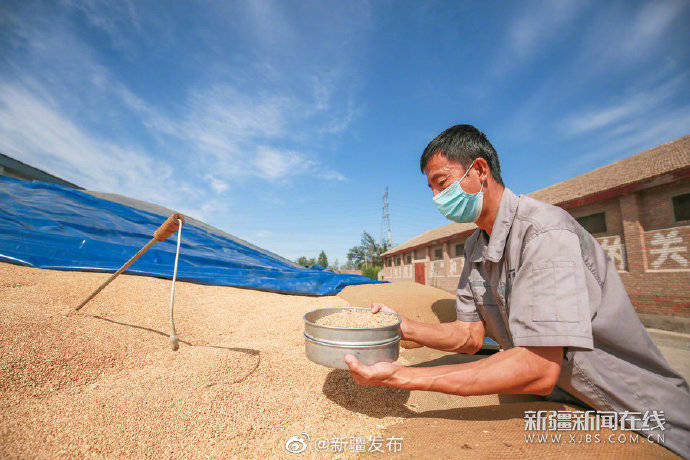 颗粒归仓|颗粒归仓 管护正忙