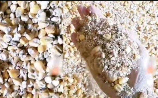 阳光|粮食必须见到阳光，粮库也要能够习惯镜头