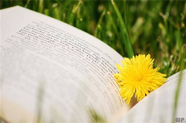 人生|人生如路，需有耐心，心中坦然，所以自在。早安