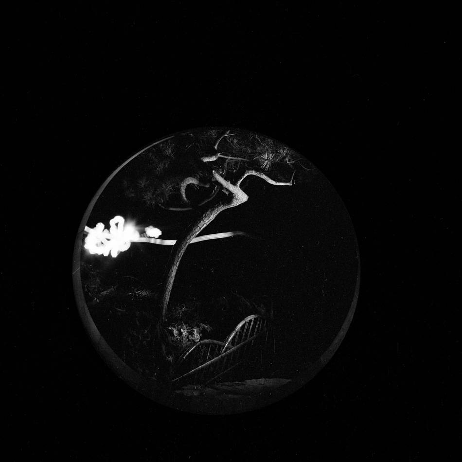 展览|看展览｜“走神”，当代摄影艺术展陈于古老的苏州园林