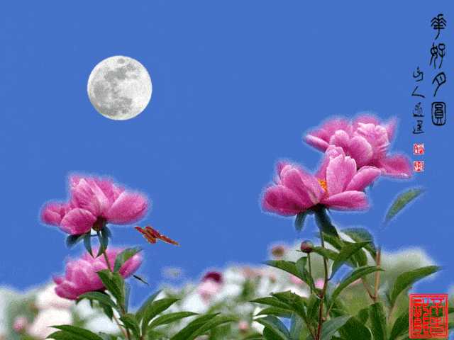 红尘有你,思念也幸福