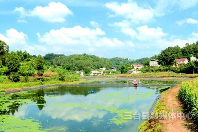 射洪有多少人口_太惊艳 射洪人家门口的普罗旺斯美景 竟藏在这里(3)