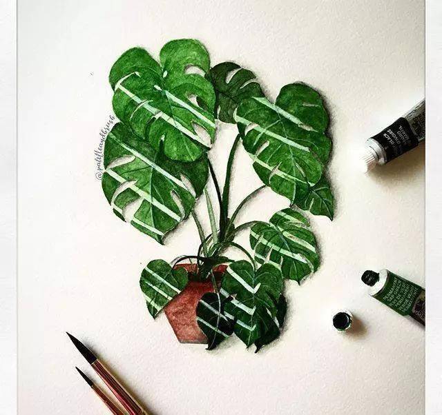 一组水彩手绘绿植小插画,对小绿植总是没有抵抗力!水彩仙人掌小清新