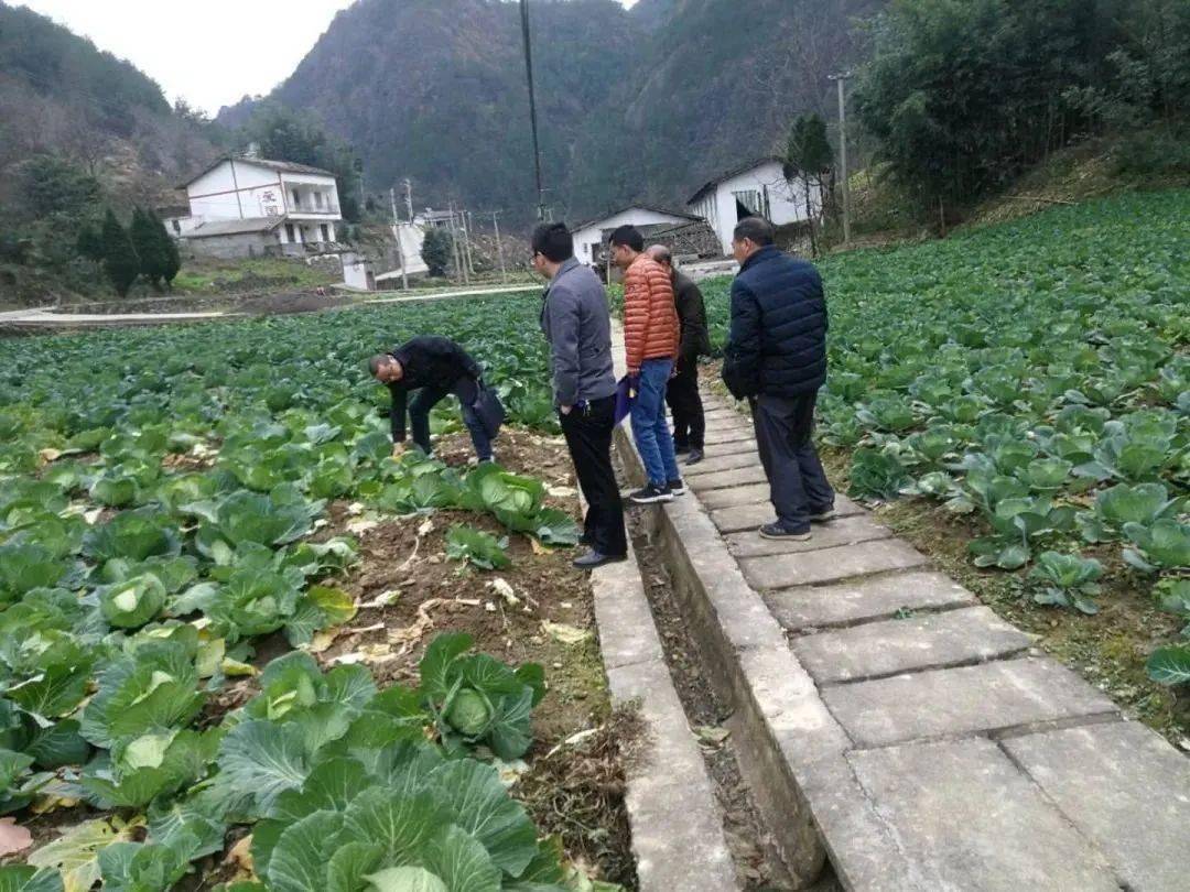 万源"边界党建"夯实乡村治理基础