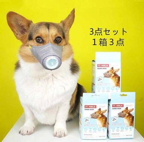 政府|日本首次报告宠物犬确诊 政府：尚无证据狗会成为传染源