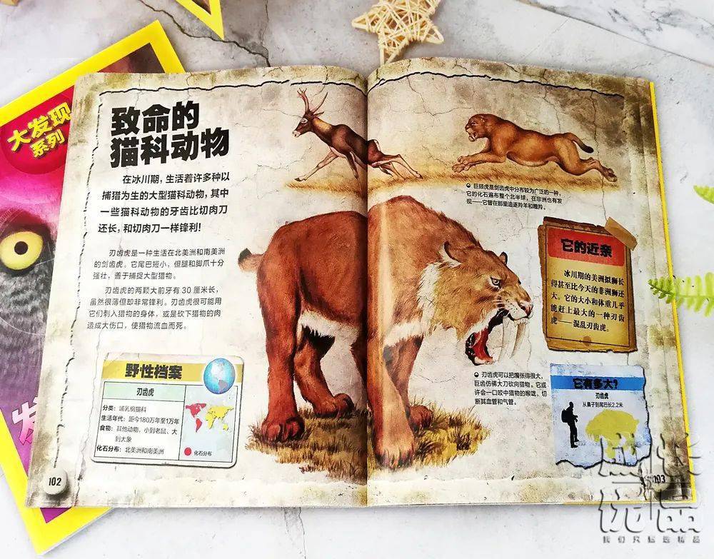 孩子|扔掉电视！一张图说清，7岁以上孩子该读什么书（7岁+）