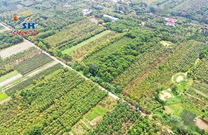 东台市人口有多少_东台市18路公交线路图