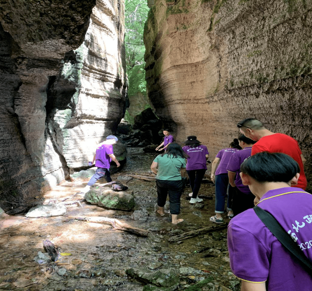 宁强gdp_宁强麻辣鸡(2)