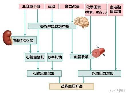 15张高血压医学美图一文了解高血压