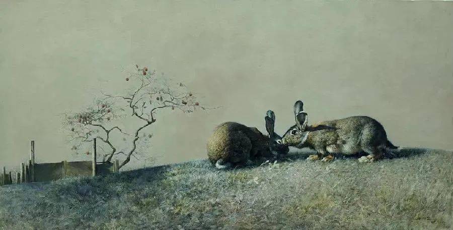 梦境的迷思，当蜈蚣与亲情交织的深夜探索