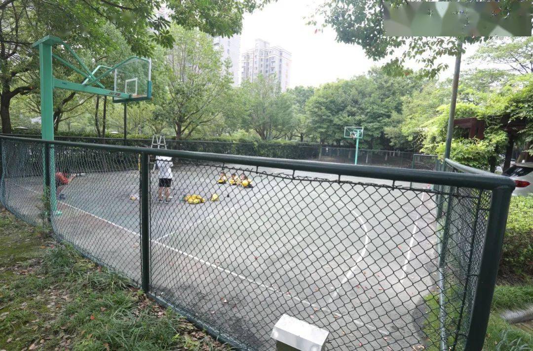 海宁2020年上半年gdp_海宁城管2019年图片