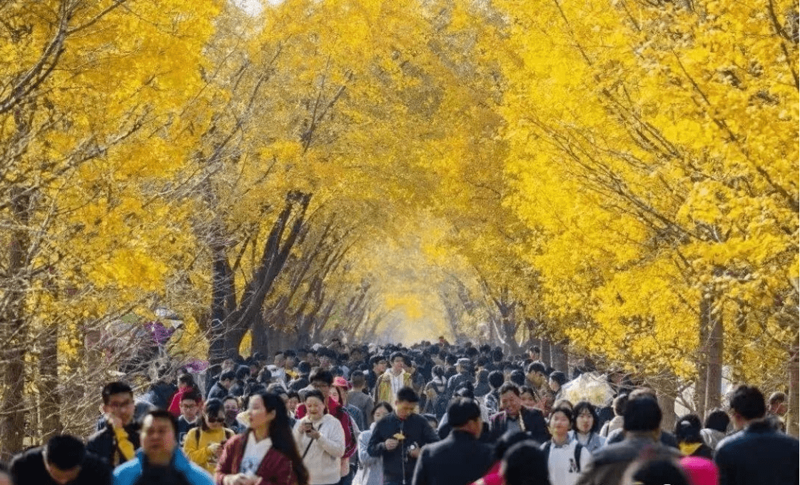 厉害!邳州这两个村被省里正式命名