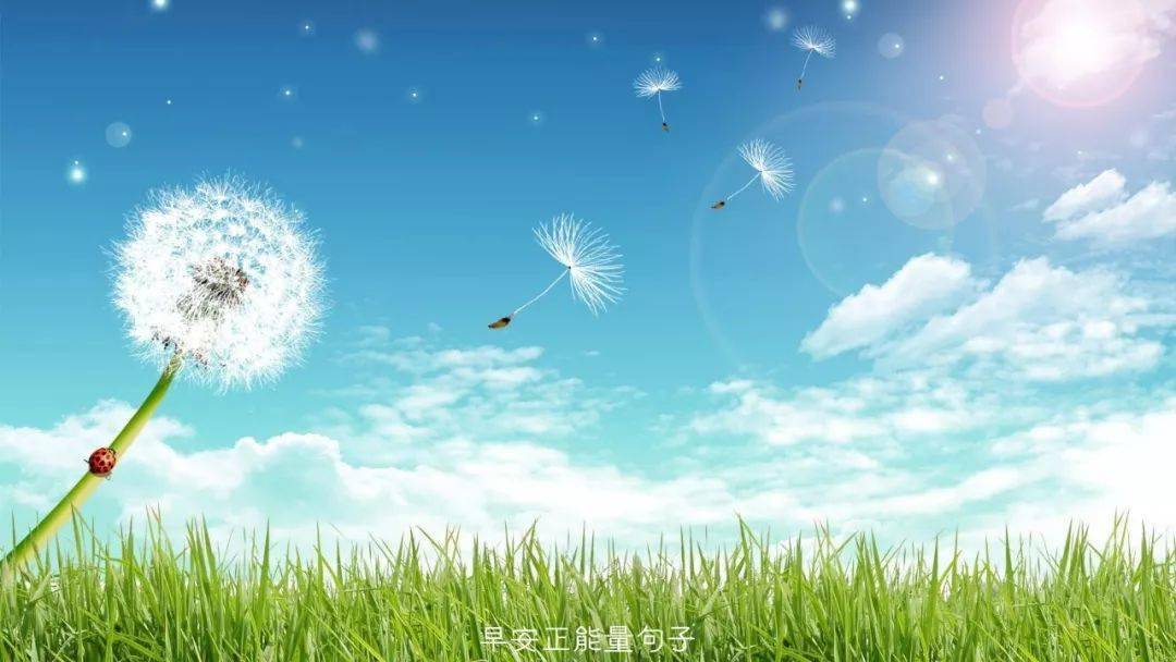 37bf901216db4cc5918bc9382f2d8024.jpeg