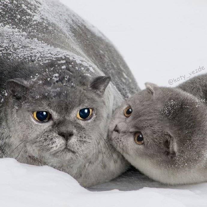 via|迪丽热巴，请抄正确的答案