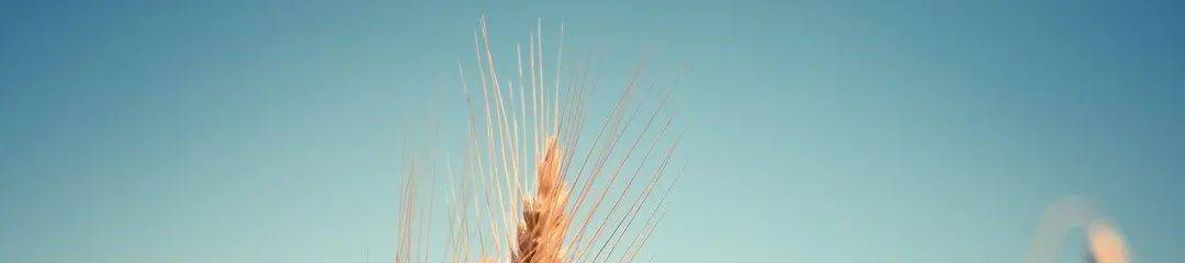 沙漠|速来丨2020沙漠领袖“少年成长礼”夏令营开始报名！