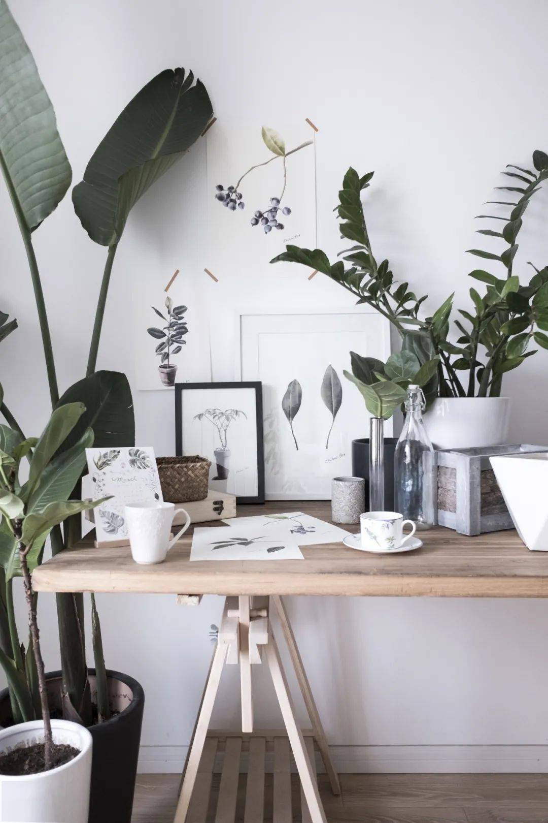 植物|她们的家，美得很让人种草