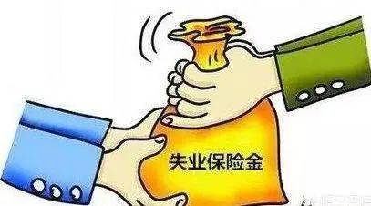 a6be3543455e4c56900ab284a5a78dc7.jpeg
