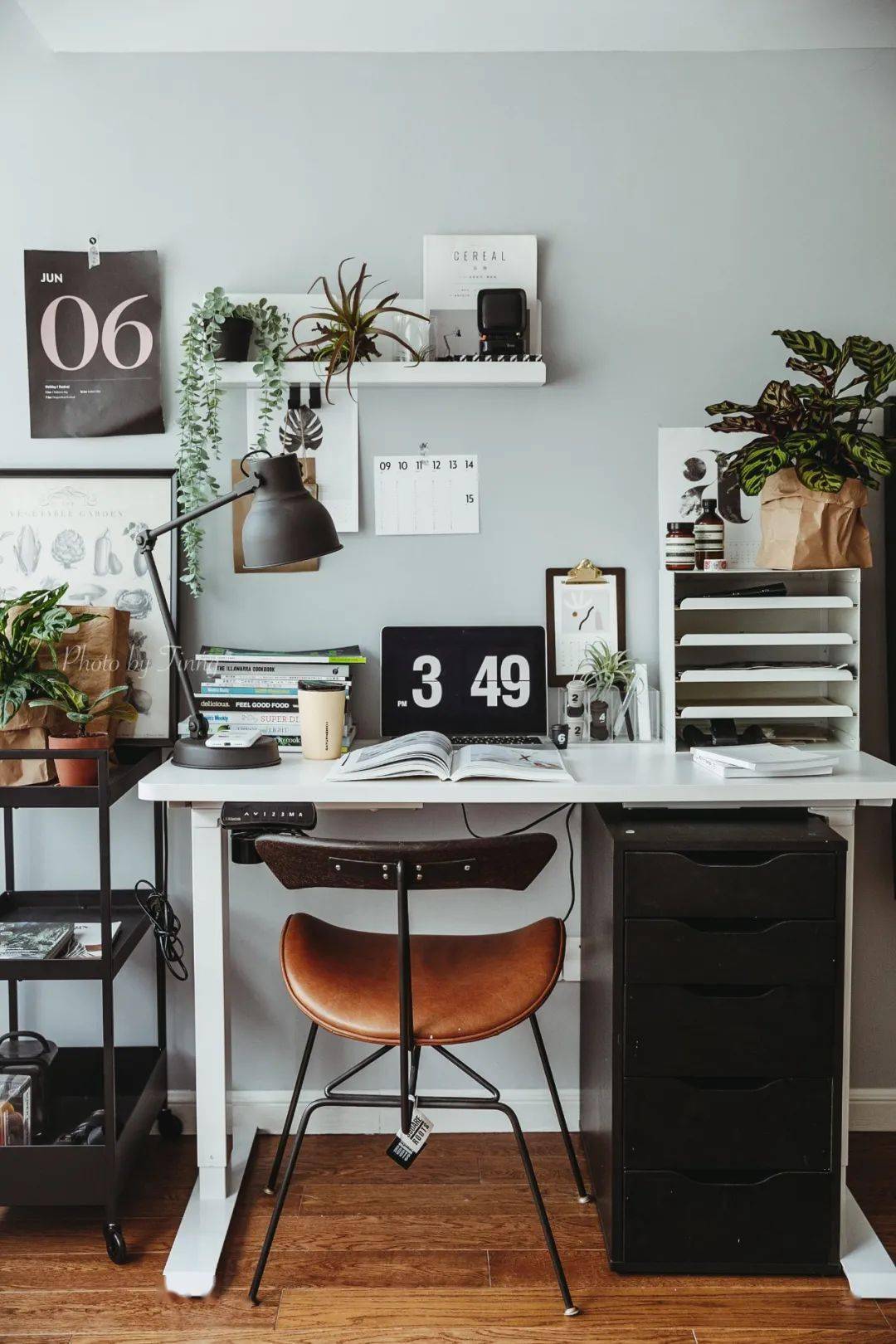 植物|她们的家，美得很让人种草