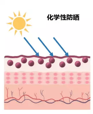 表姐|别再乱买防晒了！都是浪！费！钱！