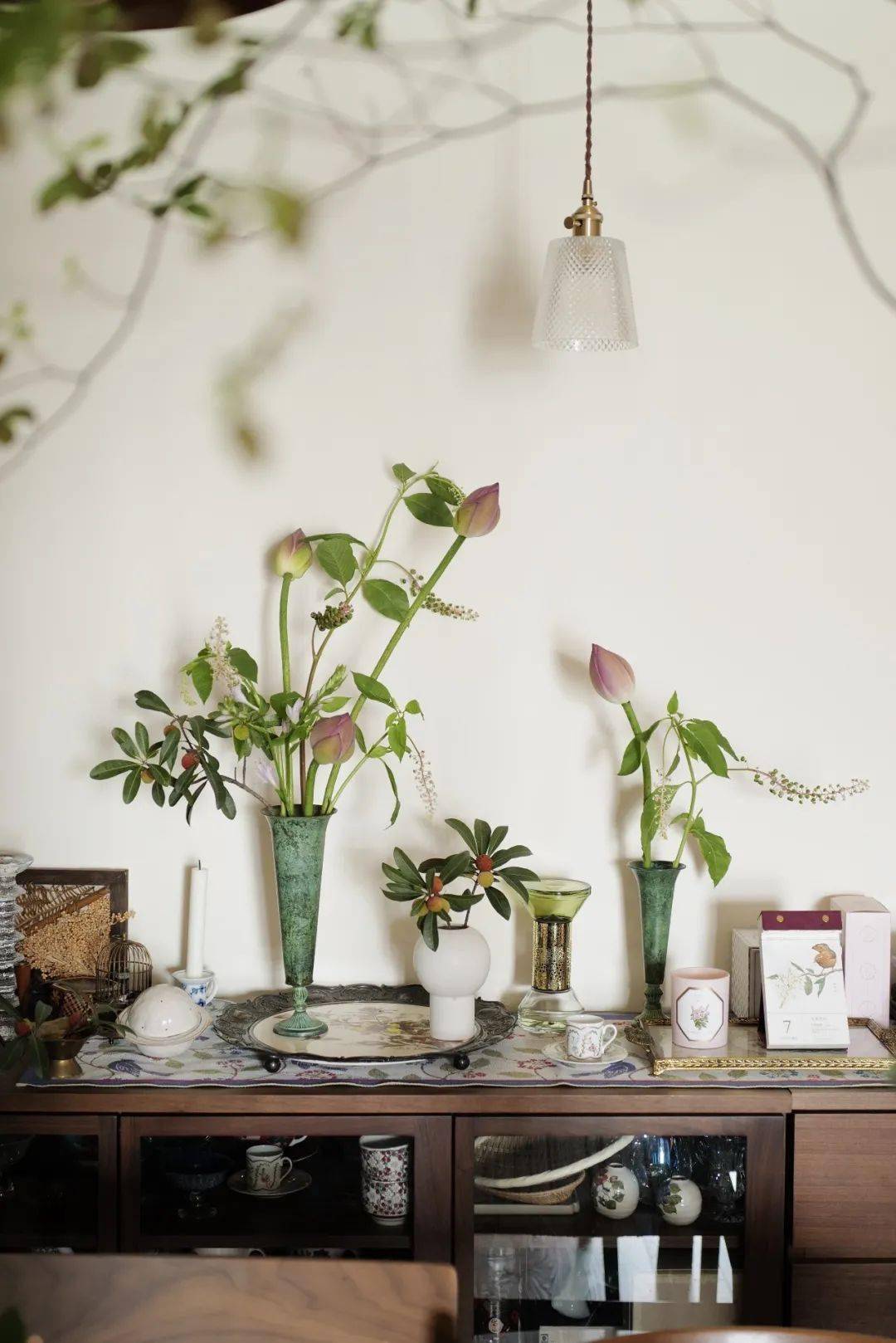 植物|她们的家，美得很让人种草