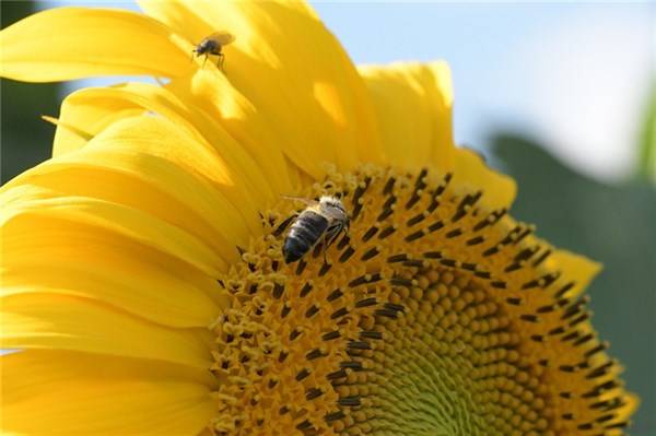 生活|励志语录｜10句早安励志短句送给大家，句句阳光正能量！