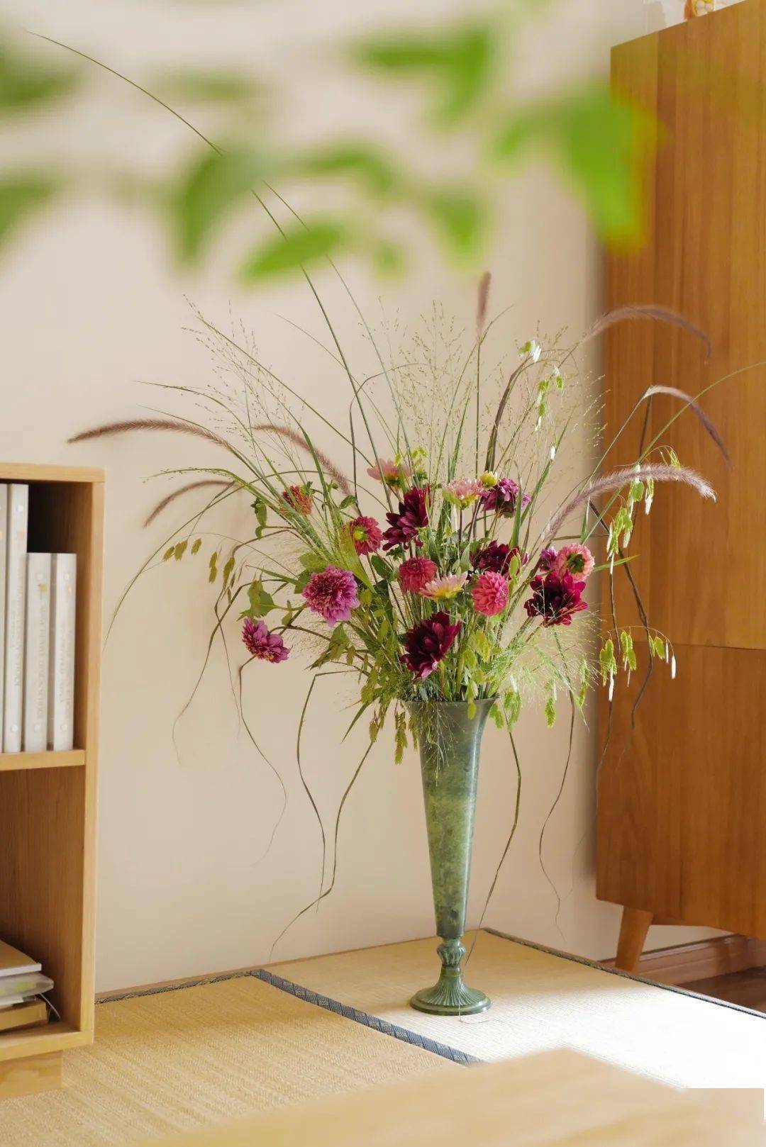 植物|她们的家，美得很让人种草